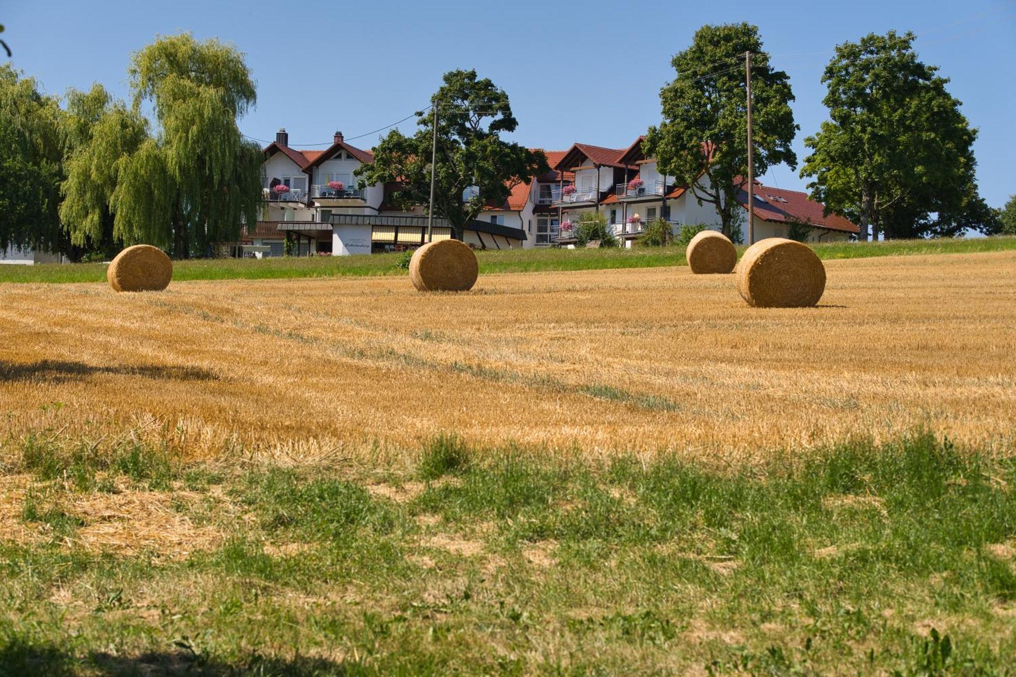 Schellenberg Uberlingen