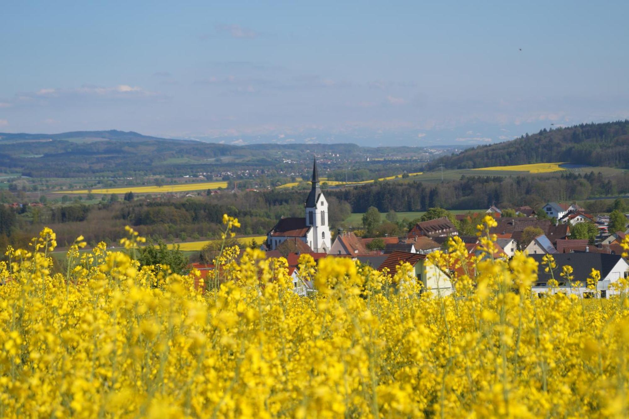 Schellenberg 3* Uberlingen